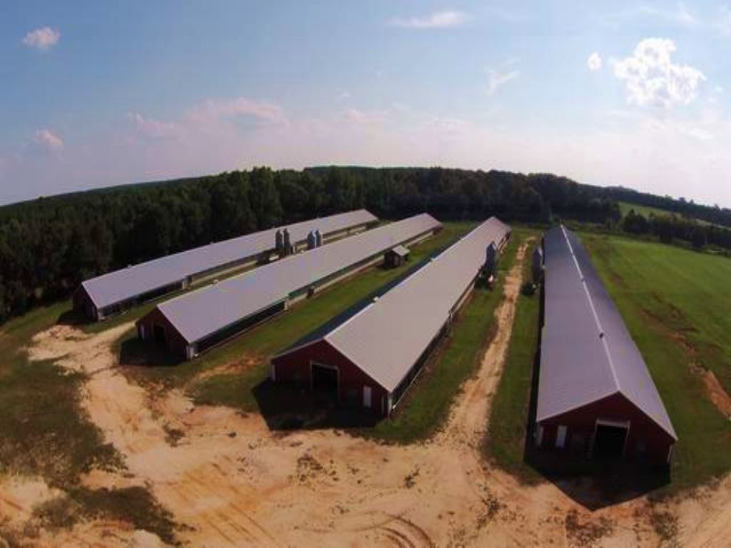 4 House Broiler Farm In Elba Farm for Sale in Elba, Coffee County