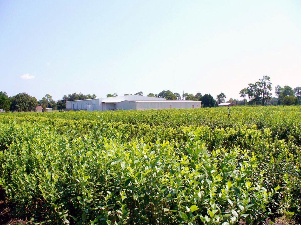 Farms For Sale Orlando Fl at Pamela Macey blog