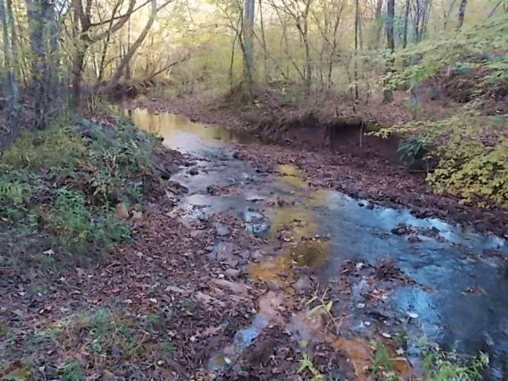 Cheap Hunting Land with A Creek, Farm for Sale in Alabama, 82407