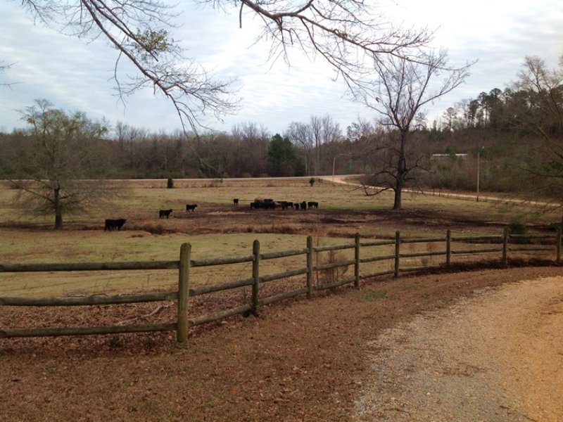 Friendship Road Farm : Brent : Bibb County : Alabama