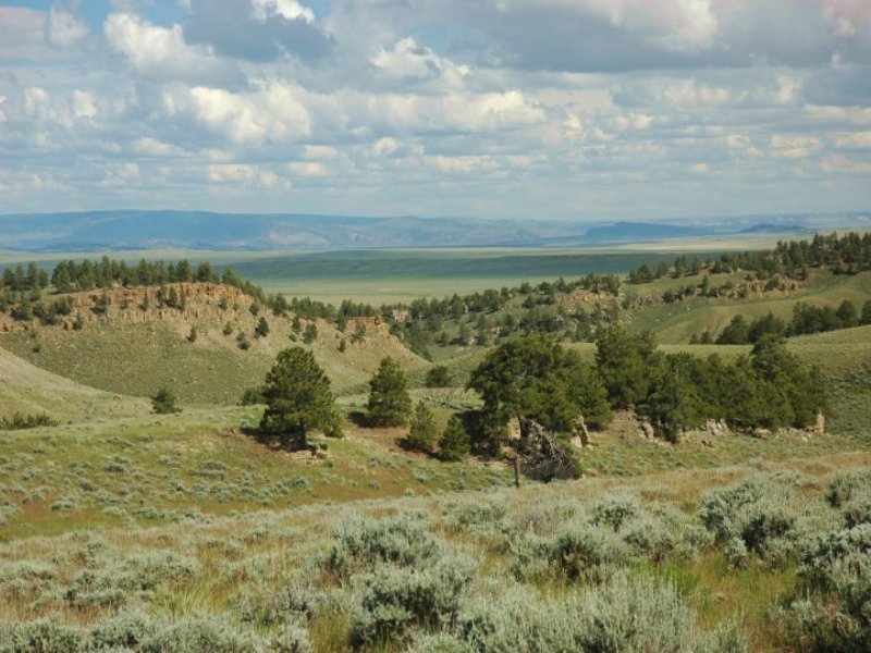 Pine Mountain 5-5:6 : Casper : Natrona County : Wyoming