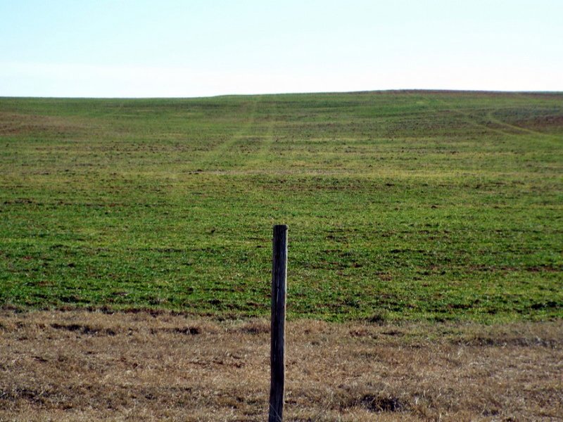 4/9 Auction - 80 Acres : Goltry : Alfalfa County : Oklahoma