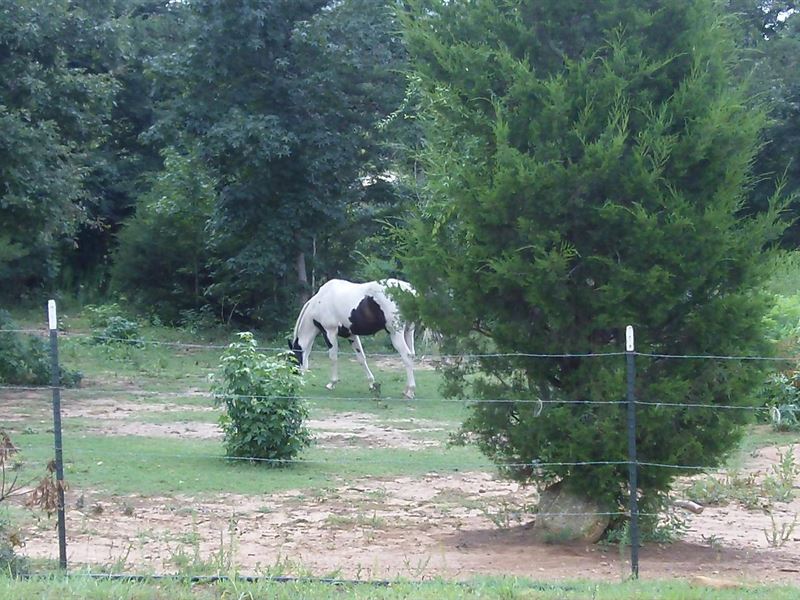 Turkey Creek Farms, 5.18 Acre Lot : Hogansville : Meriwether County : Georgia