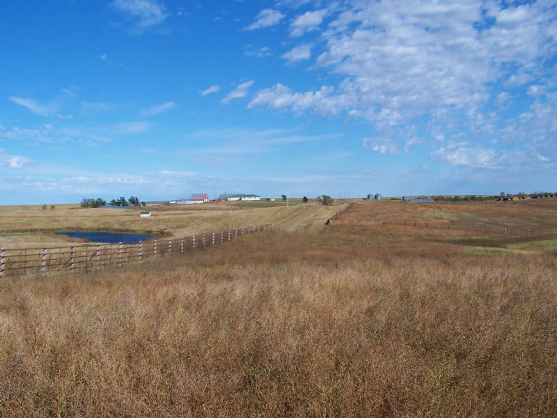 2644 Acre Farm and Ranch : Milesville : Haakon County : South Dakota