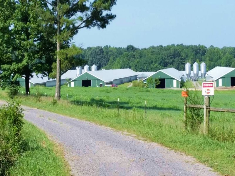 4 House Broiler Farm & Cattle Farm : Resaca : Gordon County : Georgia