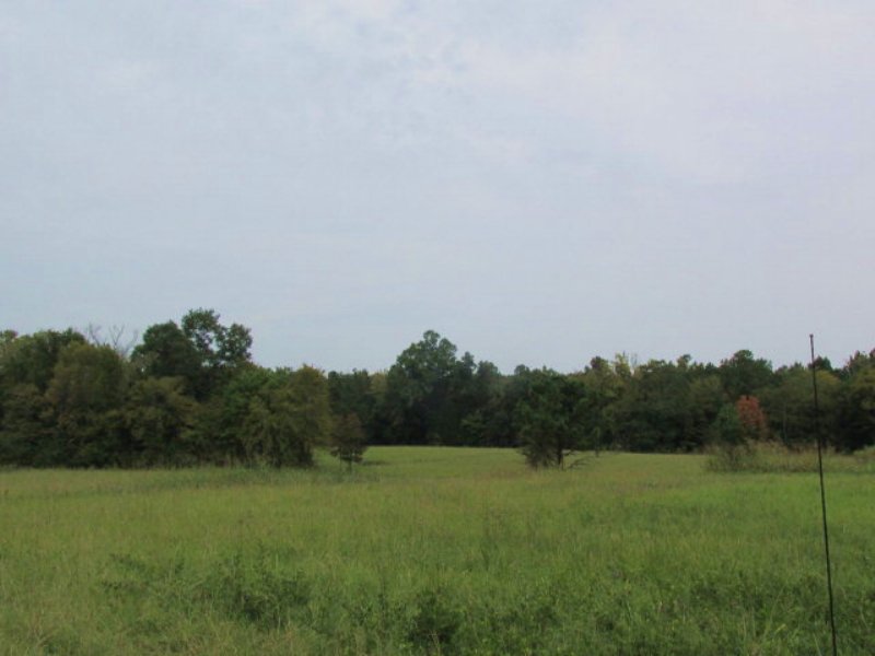 30 Acres Farm Land, Country Living : Lincolnton : Lincoln County : Georgia