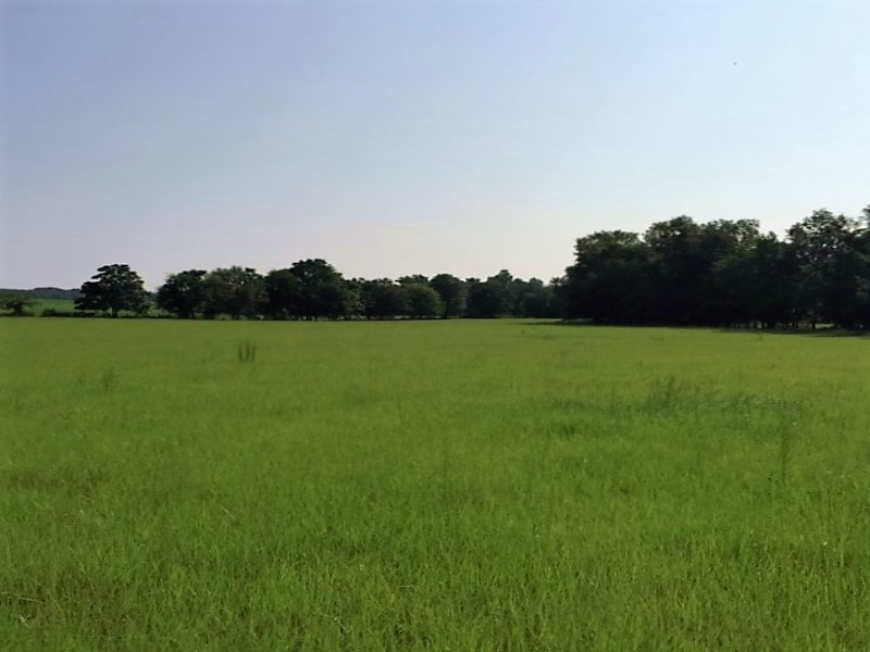 60 Acre Farmland, Farm for Sale in Florida, #99245 : FARMFLIP